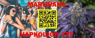 гашик Новокубанск