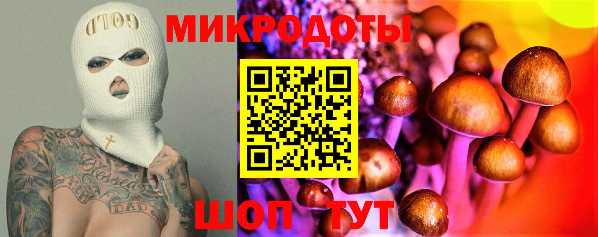 Сафоново  Галлюциногенные грибы прущие грибы  Вход с VPN  Галлюциногенные грибы GOLDEN TEACHER 